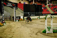 2025 - Haylee - Royal West - Saturday October 18th - 08644