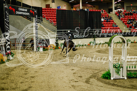 2025 - Haylee - Royal West - Saturday October 18th - 08644