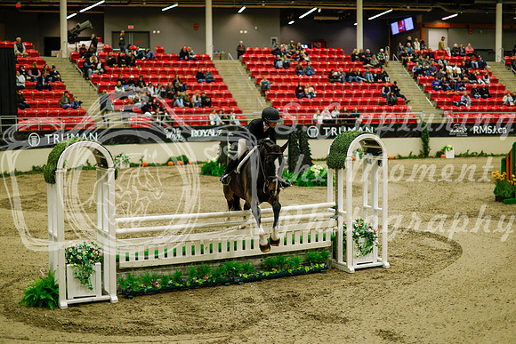 2025 - Haylee - Royal West - Saturday October 18th - 08648
