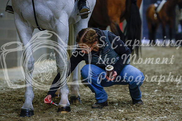 2025 - Haylee - Royal West - Saturday October 18th - 03105