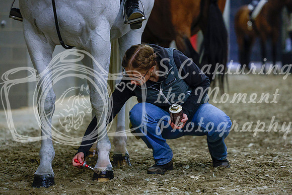 2025 - Haylee - Royal West - Saturday October 18th - 03106