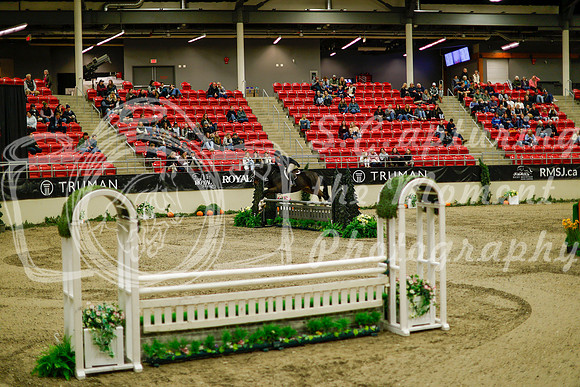 2025 - Haylee - Royal West - Saturday October 18th - 08652