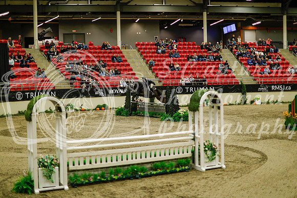 2025 - Haylee - Royal West - Saturday October 18th - 08651