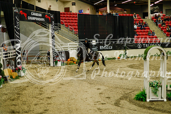 2025 - Haylee - Royal West - Saturday October 18th - 08654