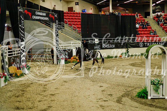 2025 - Haylee - Royal West - Saturday October 18th - 08655