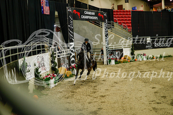 2025 - Haylee - Royal West - Saturday October 18th - 08656