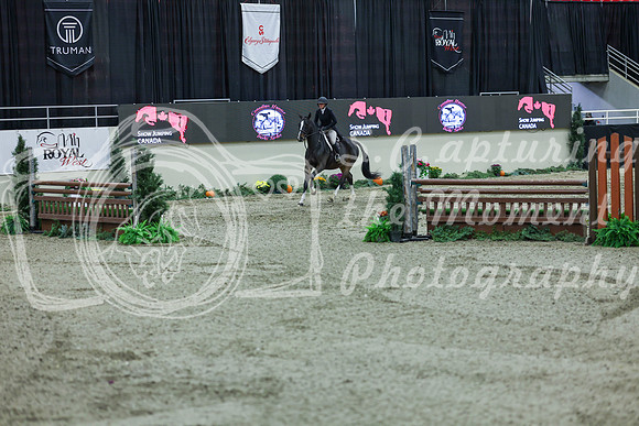 2025 - Shea - Royal West - Saturday October 18th - 06519