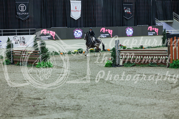 2025 - Shea - Royal West - Saturday October 18th - 06521