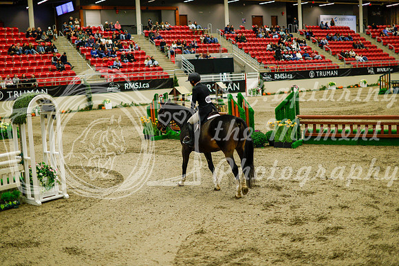 2025 - Haylee - Royal West - Saturday October 18th - 08659