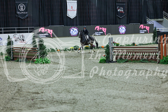 2025 - Shea - Royal West - Saturday October 18th - 06522