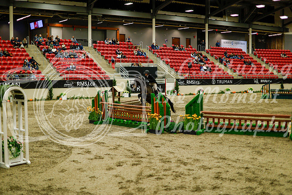2025 - Haylee - Royal West - Saturday October 18th - 08995