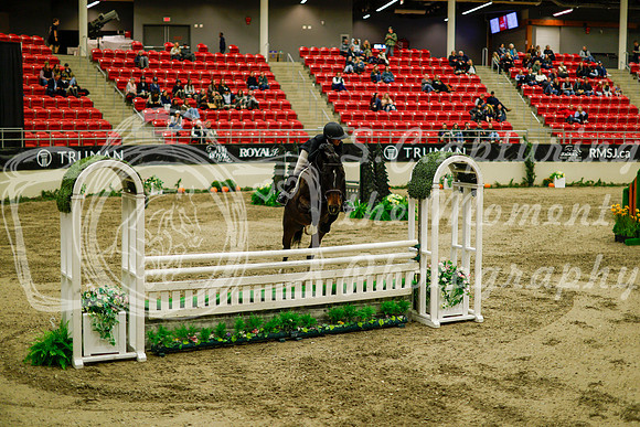 2025 - Haylee - Royal West - Saturday October 18th - 09001