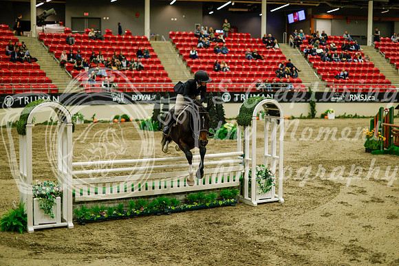 2025 - Haylee - Royal West - Saturday October 18th - 09003