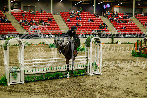 2025 - Haylee - Royal West - Saturday October 18th - 09004