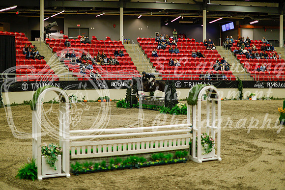 2025 - Haylee - Royal West - Saturday October 18th - 09008