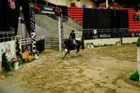 2025 - Haylee - Royal West - Saturday October 18th - 09010