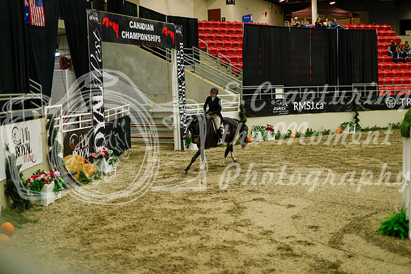 2025 - Haylee - Royal West - Saturday October 18th - 09010