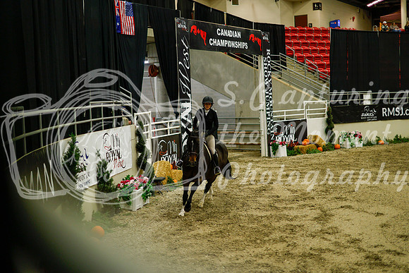2025 - Haylee - Royal West - Saturday October 18th - 09012