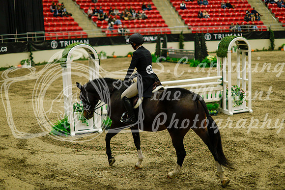 2025 - Haylee - Royal West - Saturday October 18th - 09014
