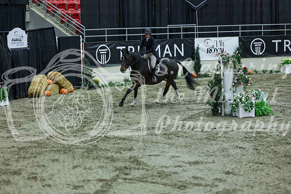 2025 - Shea - Royal West - Saturday October 18th - 07587