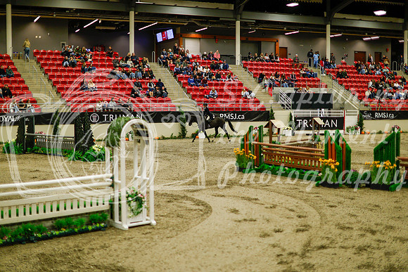 2025 - Haylee - Royal West - Saturday October 18th - 08756