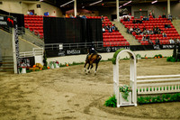 2025 - Haylee - Royal West - Saturday October 18th - 08787
