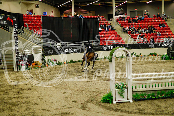 2025 - Haylee - Royal West - Saturday October 18th - 08787