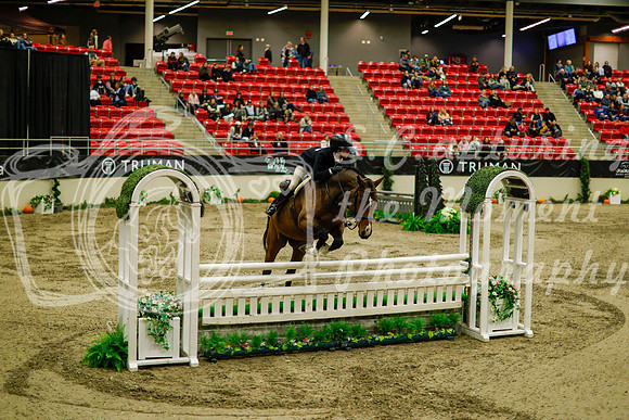 2025 - Haylee - Royal West - Saturday October 18th - 08789