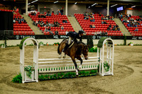 2025 - Haylee - Royal West - Saturday October 18th - 08791