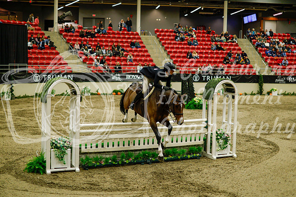 2025 - Haylee - Royal West - Saturday October 18th - 08791