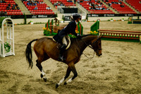 2025 - Haylee - Royal West - Saturday October 18th - 08792