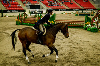 2025 - Haylee - Royal West - Saturday October 18th - 08793