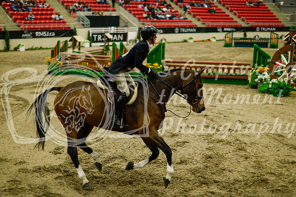 2025 - Haylee - Royal West - Saturday October 18th - 08793