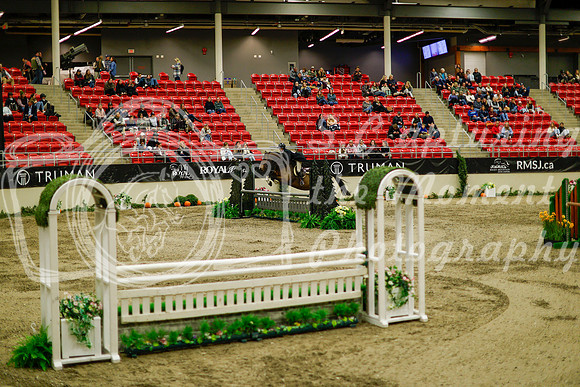 2025 - Haylee - Royal West - Saturday October 18th - 08794