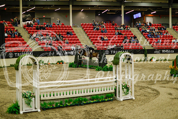 2025 - Haylee - Royal West - Saturday October 18th - 08795