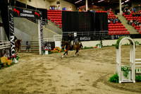 2025 - Haylee - Royal West - Saturday October 18th - 08798