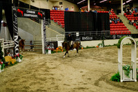 2025 - Haylee - Royal West - Saturday October 18th - 08799