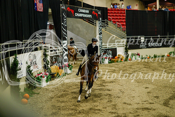 2025 - Haylee - Royal West - Saturday October 18th - 08801
