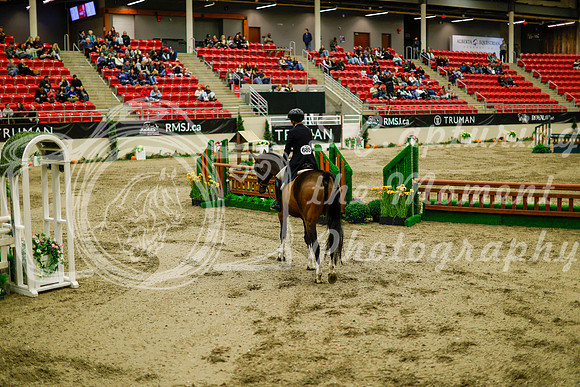 2025 - Haylee - Royal West - Saturday October 18th - 08802