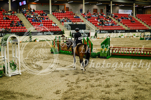 2025 - Haylee - Royal West - Saturday October 18th - 08803