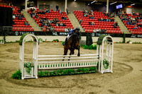 2025 - Haylee - Royal West - Saturday October 18th - 08664