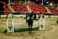 2025 - Haylee - Royal West - Saturday October 18th - 08667
