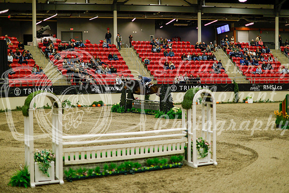 2025 - Haylee - Royal West - Saturday October 18th - 08670