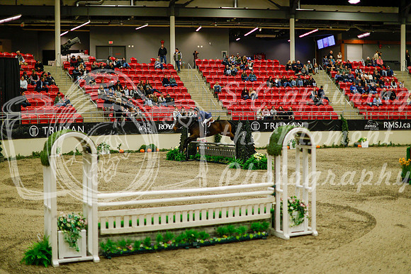 2025 - Haylee - Royal West - Saturday October 18th - 08671
