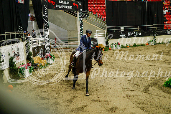 2025 - Haylee - Royal West - Saturday October 18th - 08674