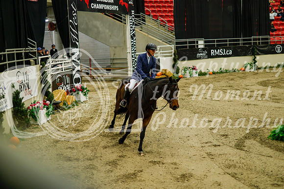 2025 - Haylee - Royal West - Saturday October 18th - 08675