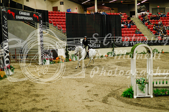 2025 - Haylee - Royal West - Saturday October 18th - 08693