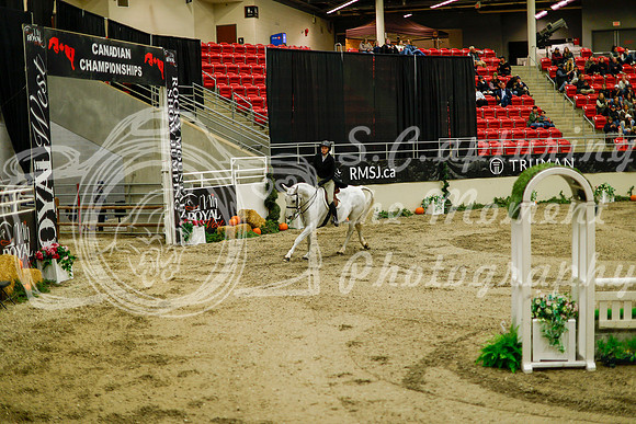 2025 - Haylee - Royal West - Saturday October 18th - 08694