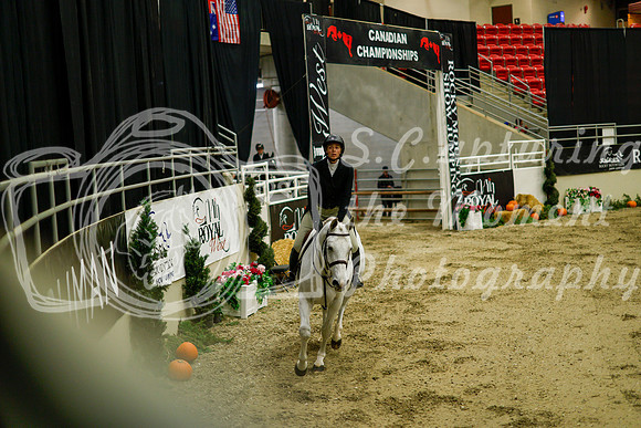2025 - Haylee - Royal West - Saturday October 18th - 08697