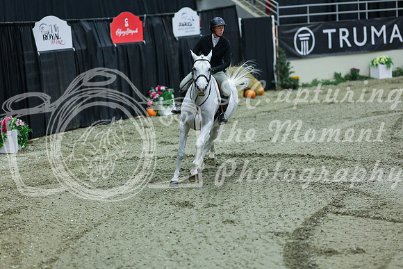 2025 - Shea - Royal West - Saturday October 18th - 06672